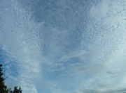 15th Oct 2012 - Blue sky after rain