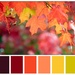 Autumn Color Palette by paintdipper