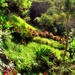 Garden Of Eden by carrapeta00