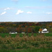 Amish Farm in Autumn by tanda