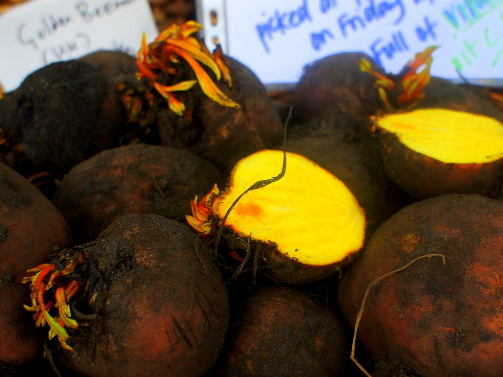 Golden beetroot by boxplayer