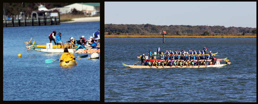 Dragon Boat Races by hjbenson