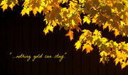 16th Oct 2012 - Nothing Gold Can Stay