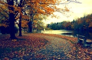 16th Oct 2012 - autumn path