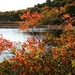 Autumn on Cape Cod by lauriehiggins