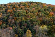 17th Oct 2012 - A mountain of color