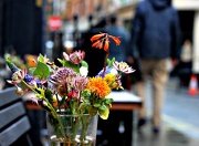 16th Oct 2012 - Flowers on Lexington Street