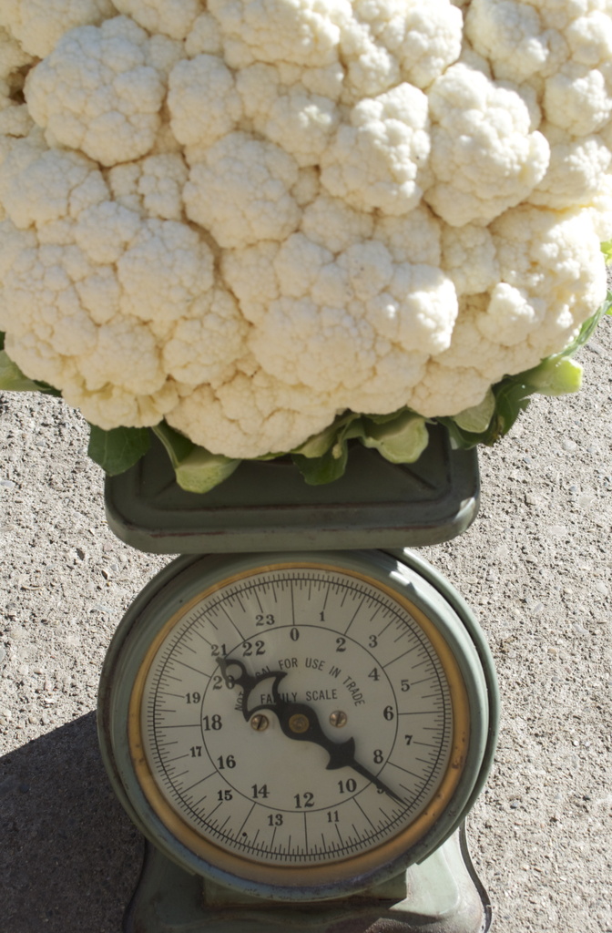 9 pound cauliflower by corktownmum