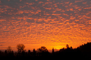 17th Oct 2012 - Magnificent Dawn