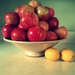 Honey Crisp Apples by mrsbubbles