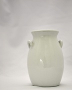 17th Oct 2012 - opaque vase