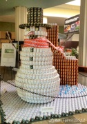 18th Oct 2012 - Canstruction