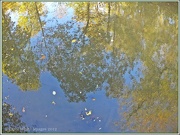 18th Oct 2012 - Reflections