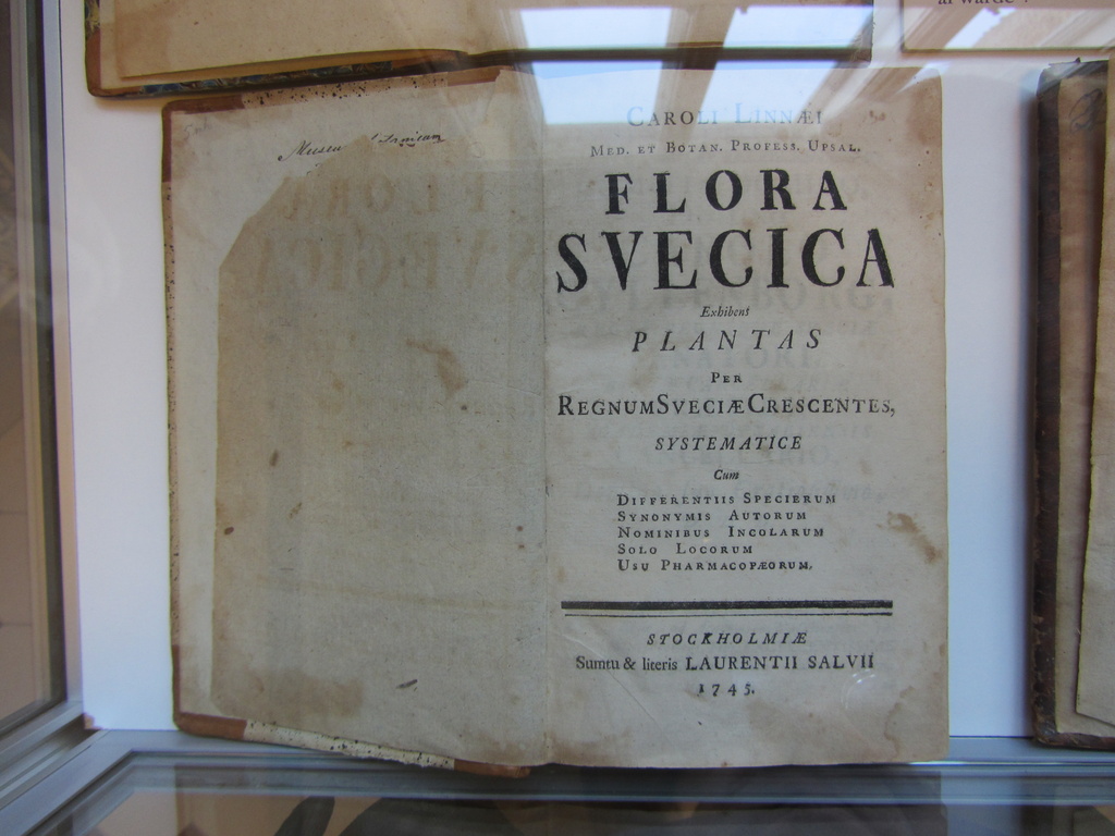 Linné - Flora Svecica 1745  by annelis