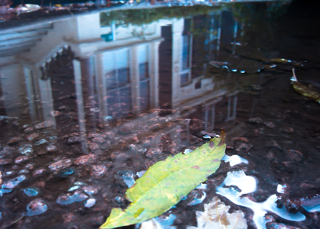 puddle reflection 1 by peadar