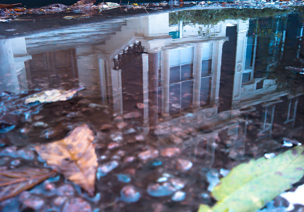 puddle reflection 2 by peadar