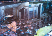18th Oct 2012 - puddle reflection 2
