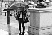 18th Oct 2012 - Rainy Day Woman