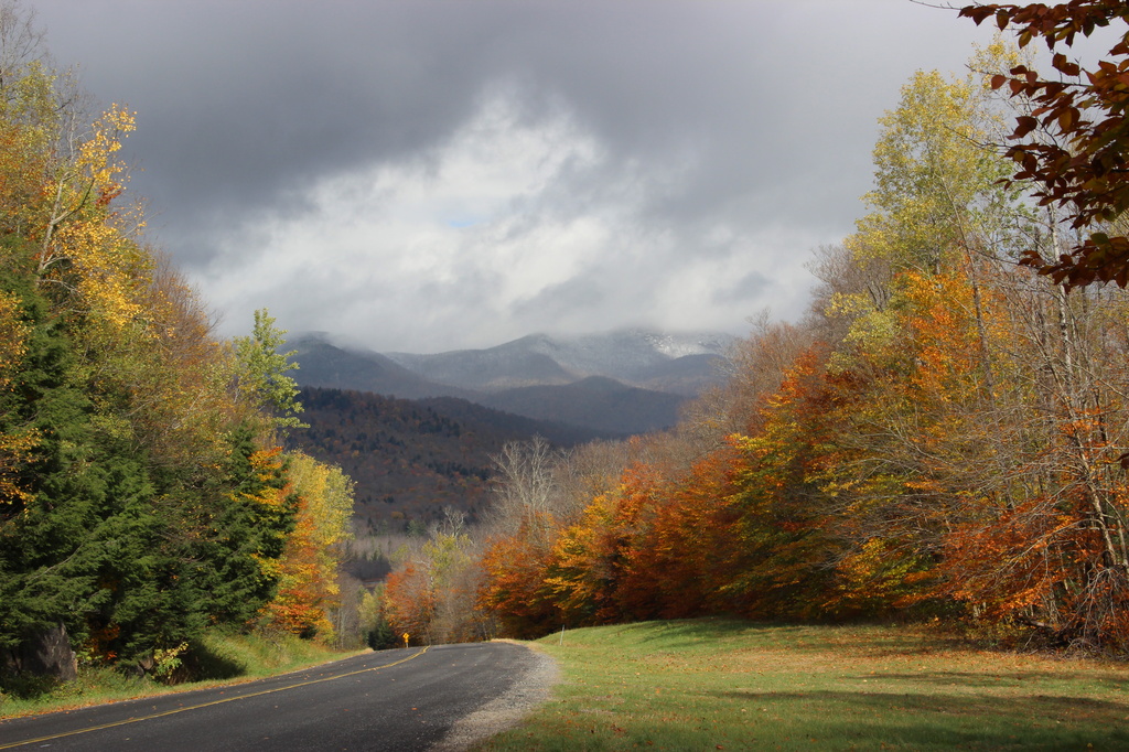 A Fall in the Adirondacks by shepherdman