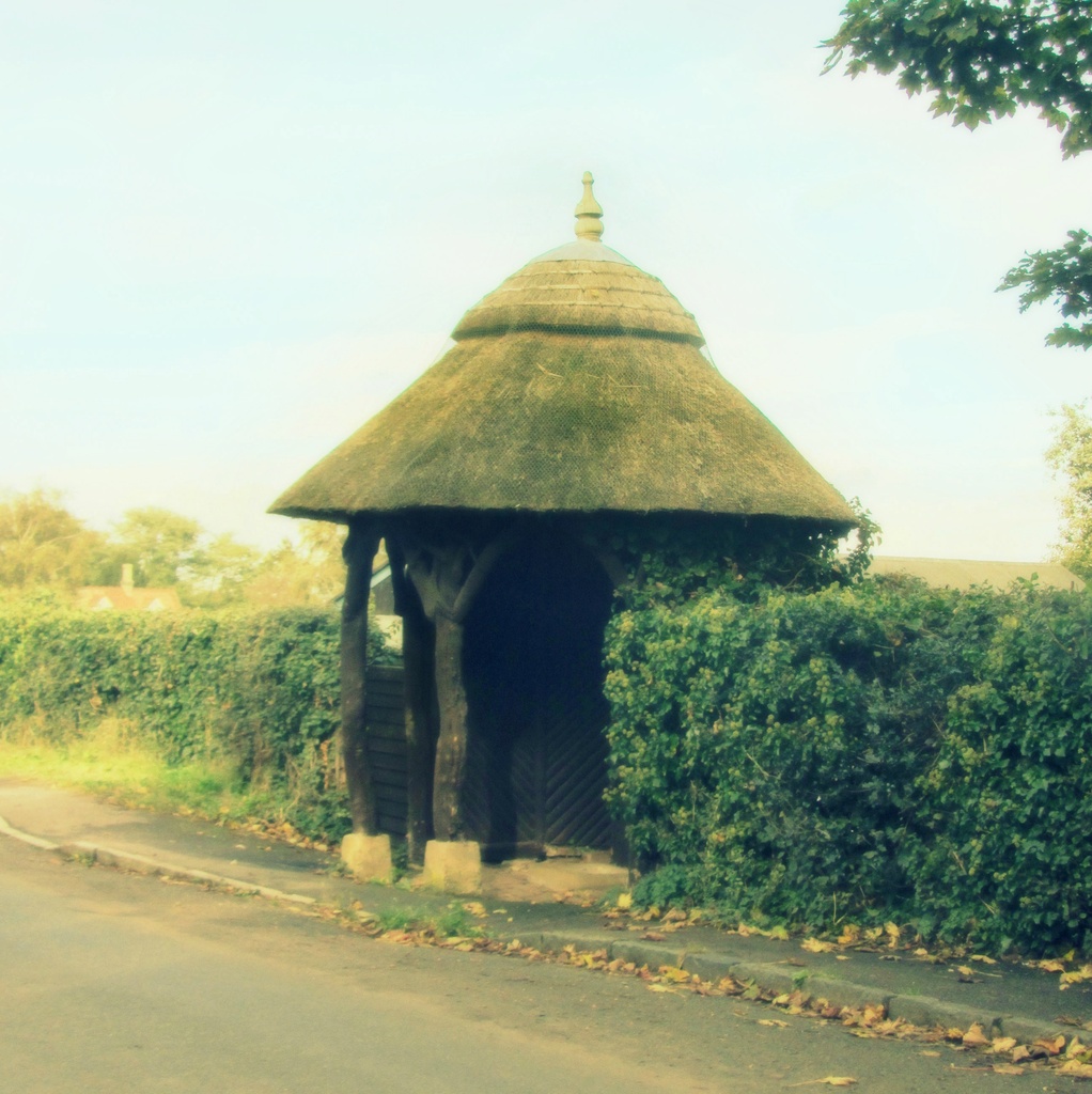 Thatched Bus Shelter by filsie65