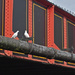Bridge and birds by dulciknit