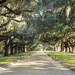 Avenue of the Oaks by stownsend