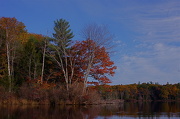 18th Oct 2012 - Back on the Basin, Last Hurrah for Fall Colors