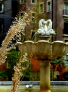 13th Mar 2012 - Fountain