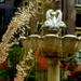 Fountain by boxplayer