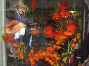 19th Oct 2012 - just a Hallowe'en decoration in a florist's window