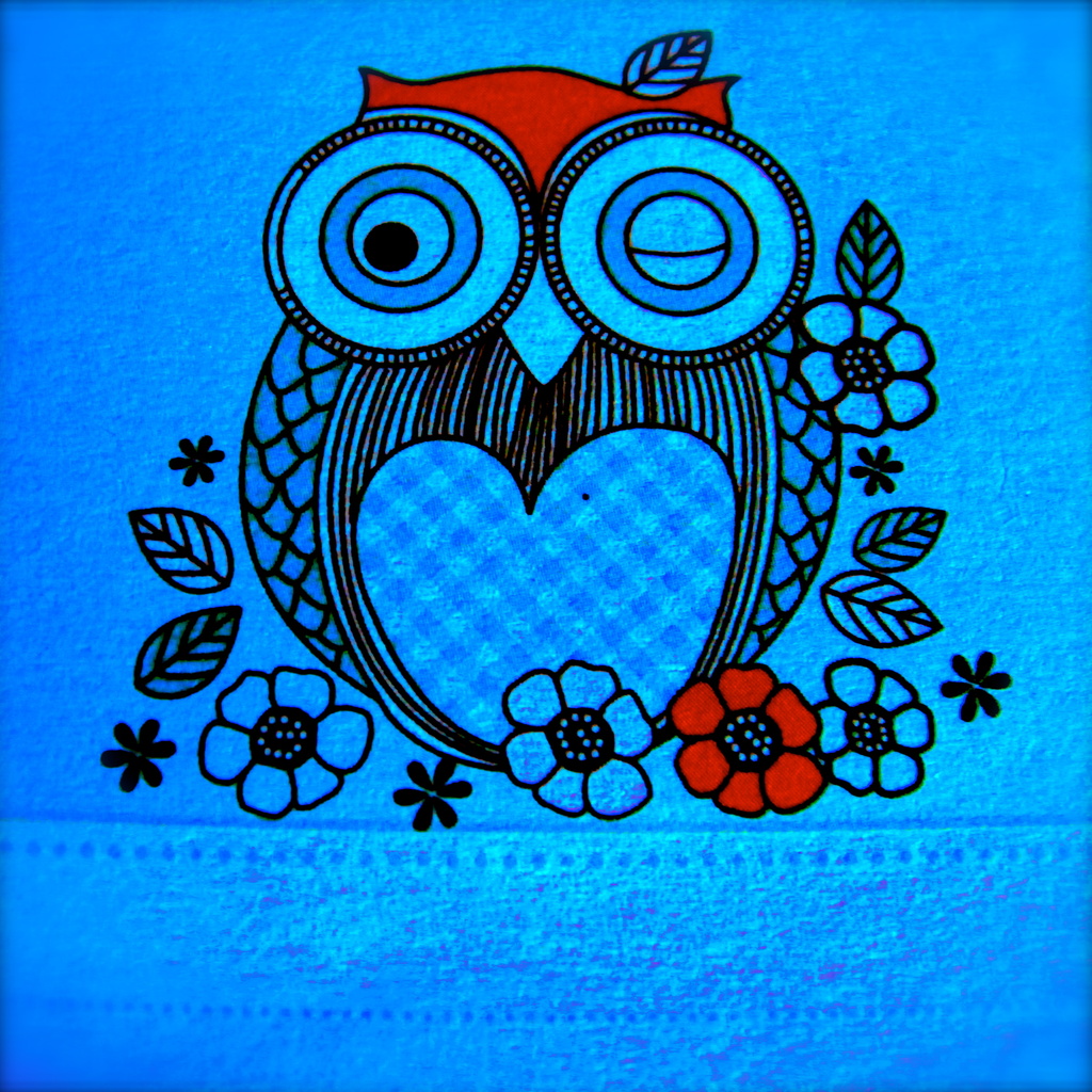 Owl/Blue - Either-or/Rainbow October by alia_801
