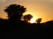 17th Oct 2012 - Early Sunset!