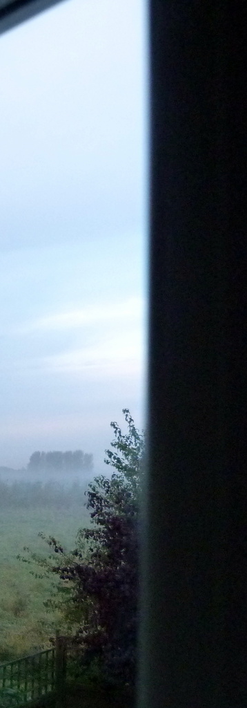 misty morning by calx