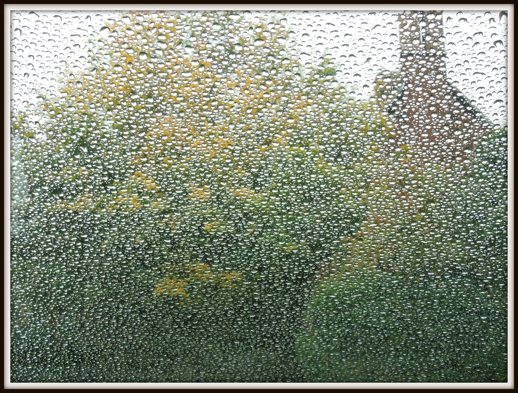Sheer curtain of rain by rosiekind