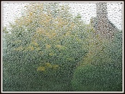 19th Oct 2012 - Sheer curtain of rain