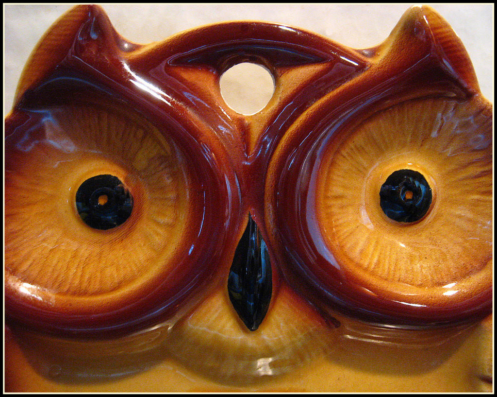 Owl or Pussycat by olivetreeann