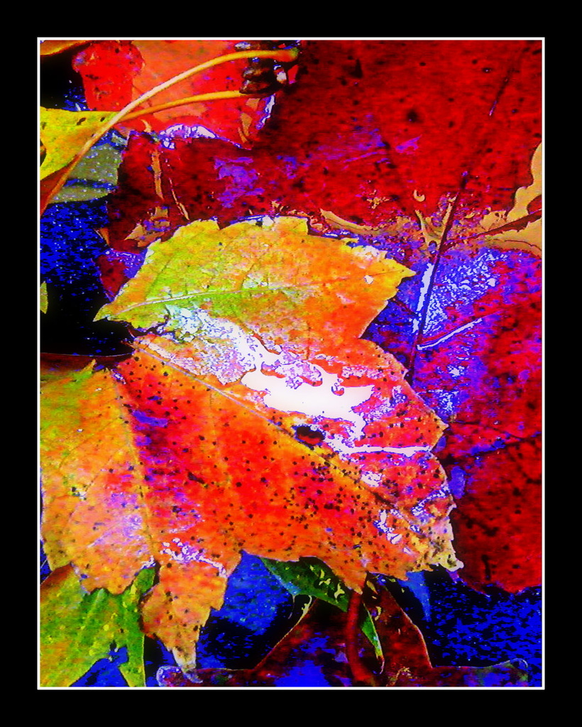 Autumn Abstract by calm