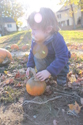14th Oct 2012 - A Flare for Pumkins