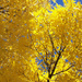 fall beauty by dmdfday