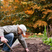 Digging up the garden by kiwichick