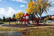 16th Oct 2012 - Fall at MacLean Elementary