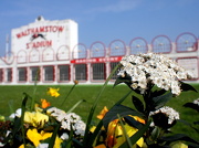 23rd Mar 2012 - Walthamstow stadium