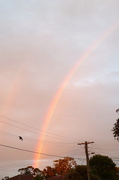 17th Oct 2012 - Rainbow