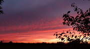 20th Oct 2012 - Sunset