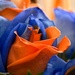 Yes, I bleed Orange and Blue by danette