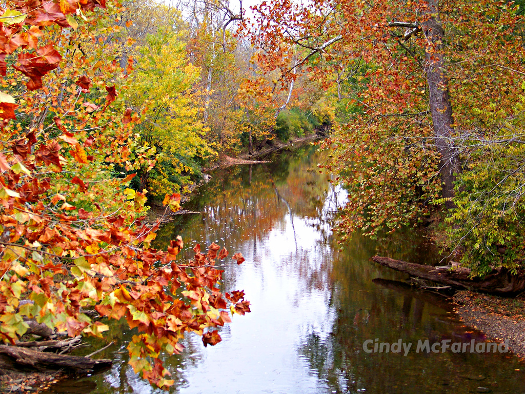 Fall Reflections by cindymc