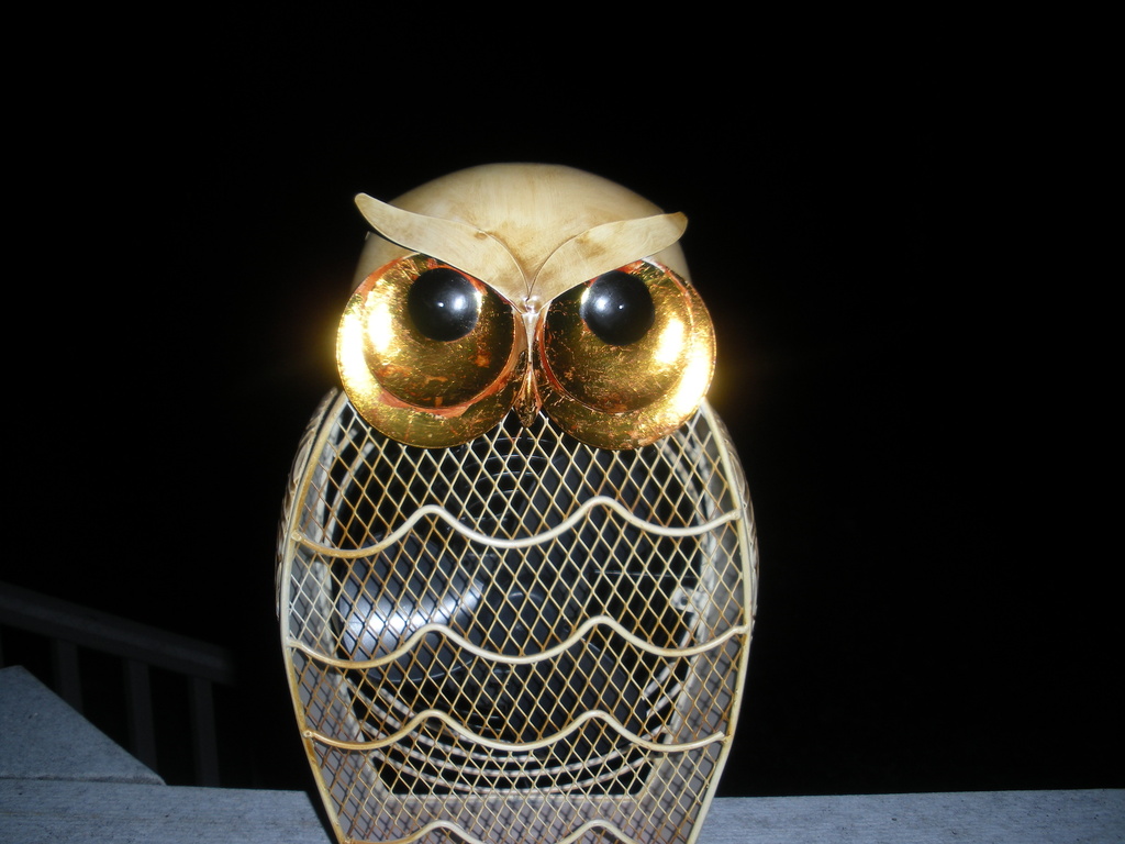 Night Owl by klh