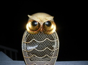 19th Oct 2012 - Night Owl