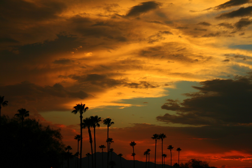 Tucson Sunset by kerristephens
