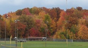 20th Oct 2012 - Fall Colors